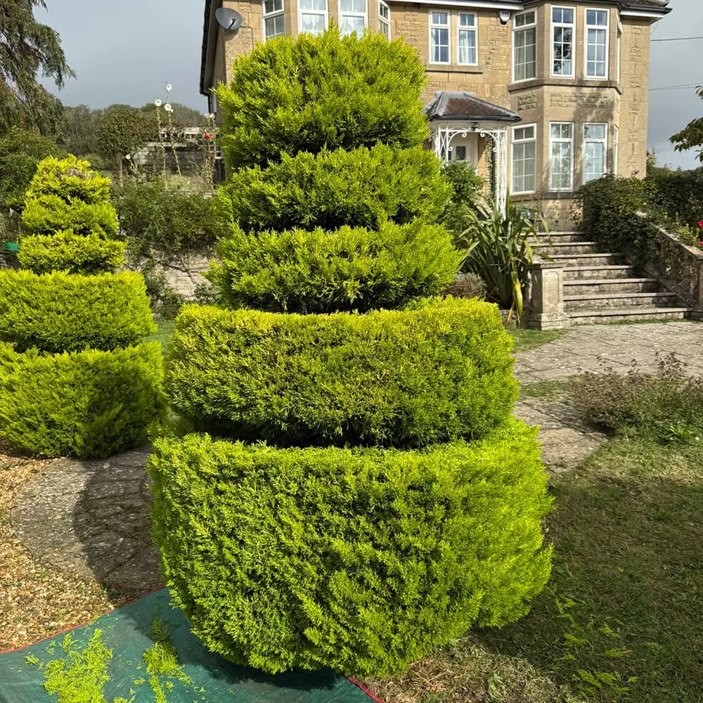 garden-maintenance-fiore-gardens-01