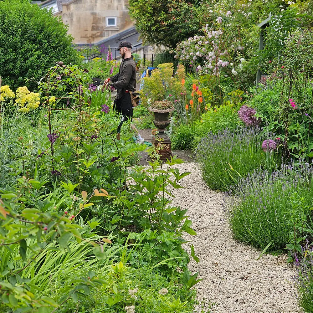 garden-maintenance-fiore-gardens-03