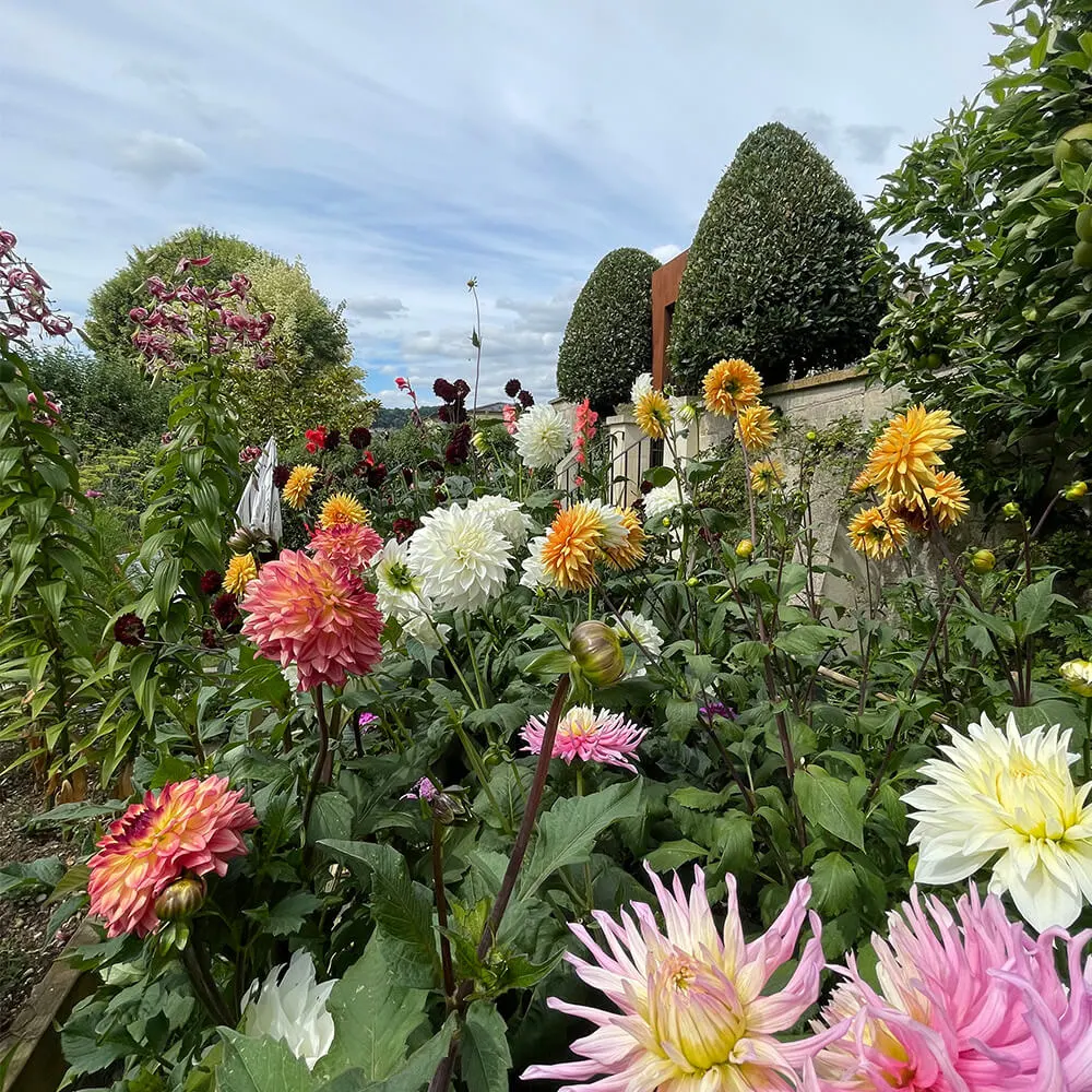 garden-maintenance-fiore-gardens-06