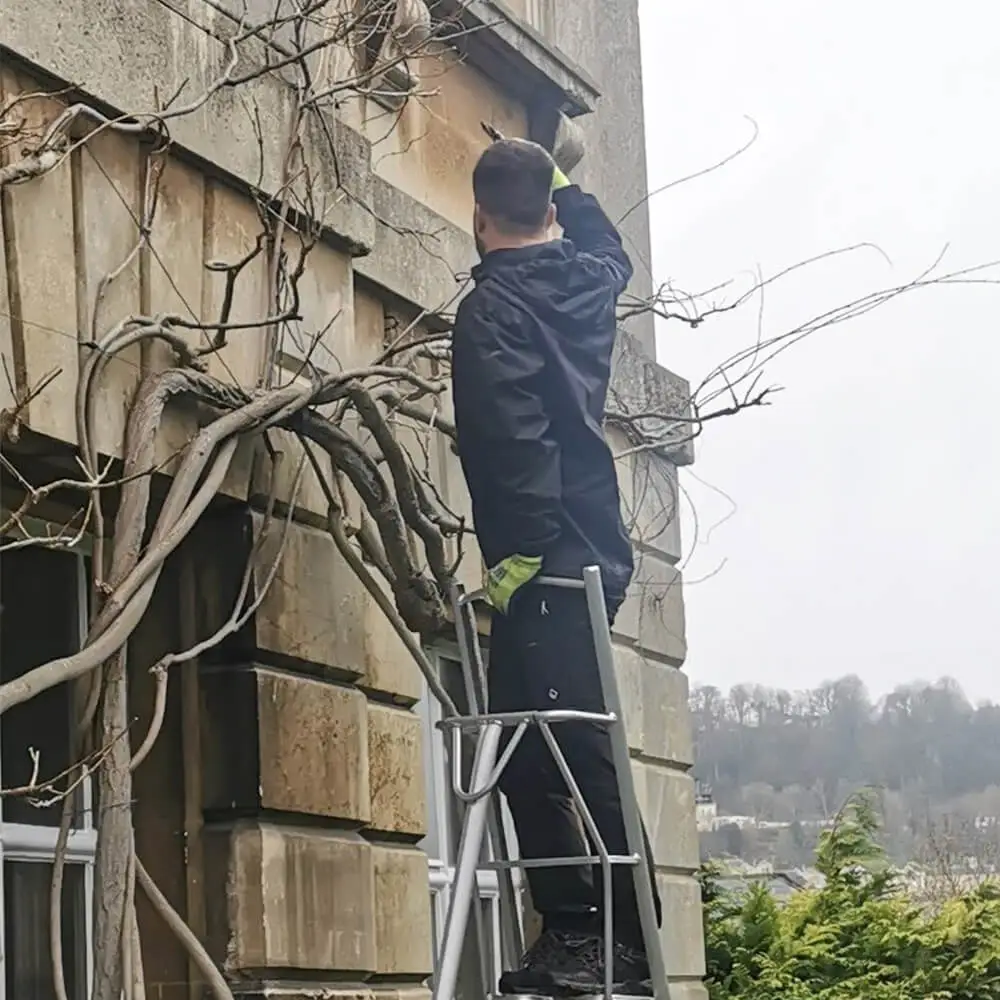 garden-maintenance-fiore-gardens-09