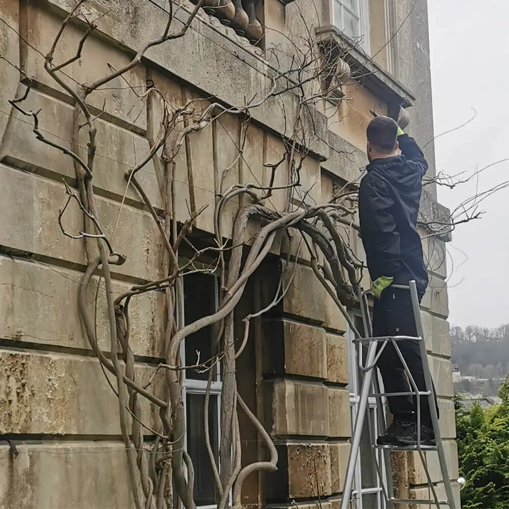garden-maintenance-fiore-gardens-10