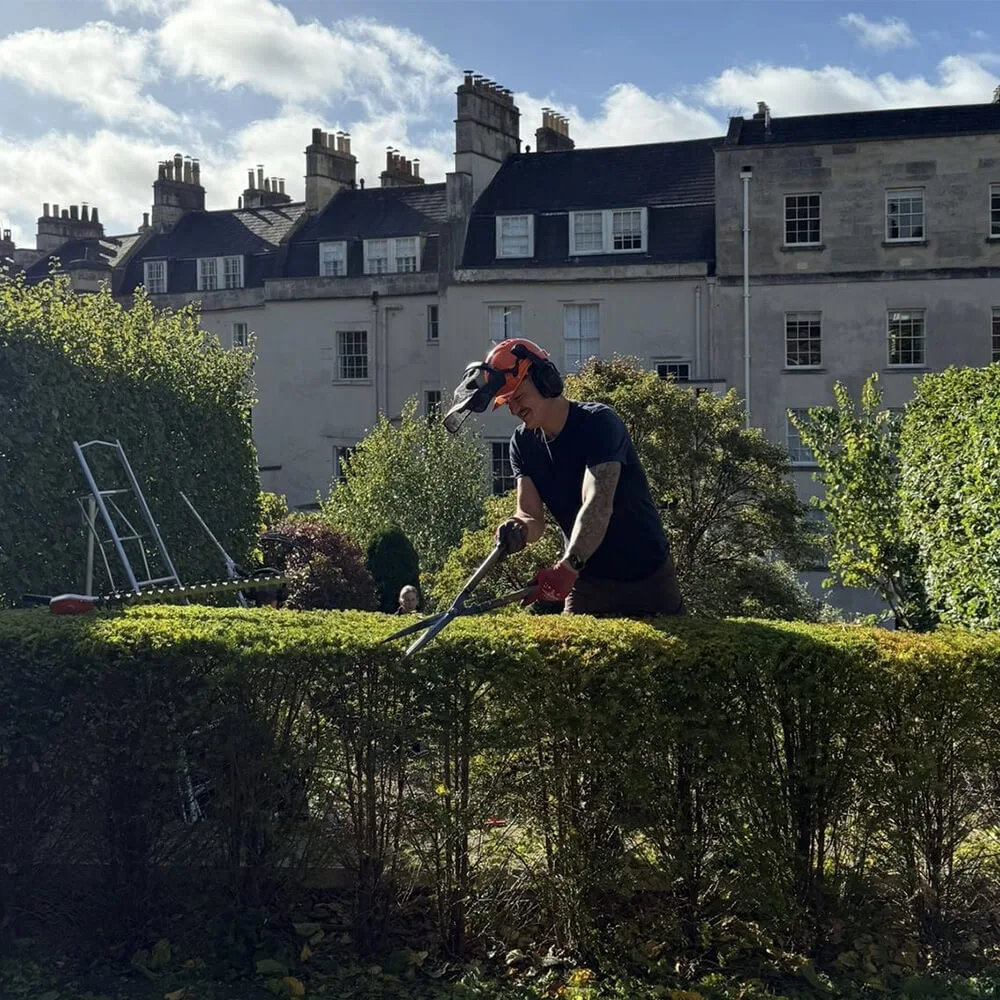 garden-maintenance-fiore-gardens-11
