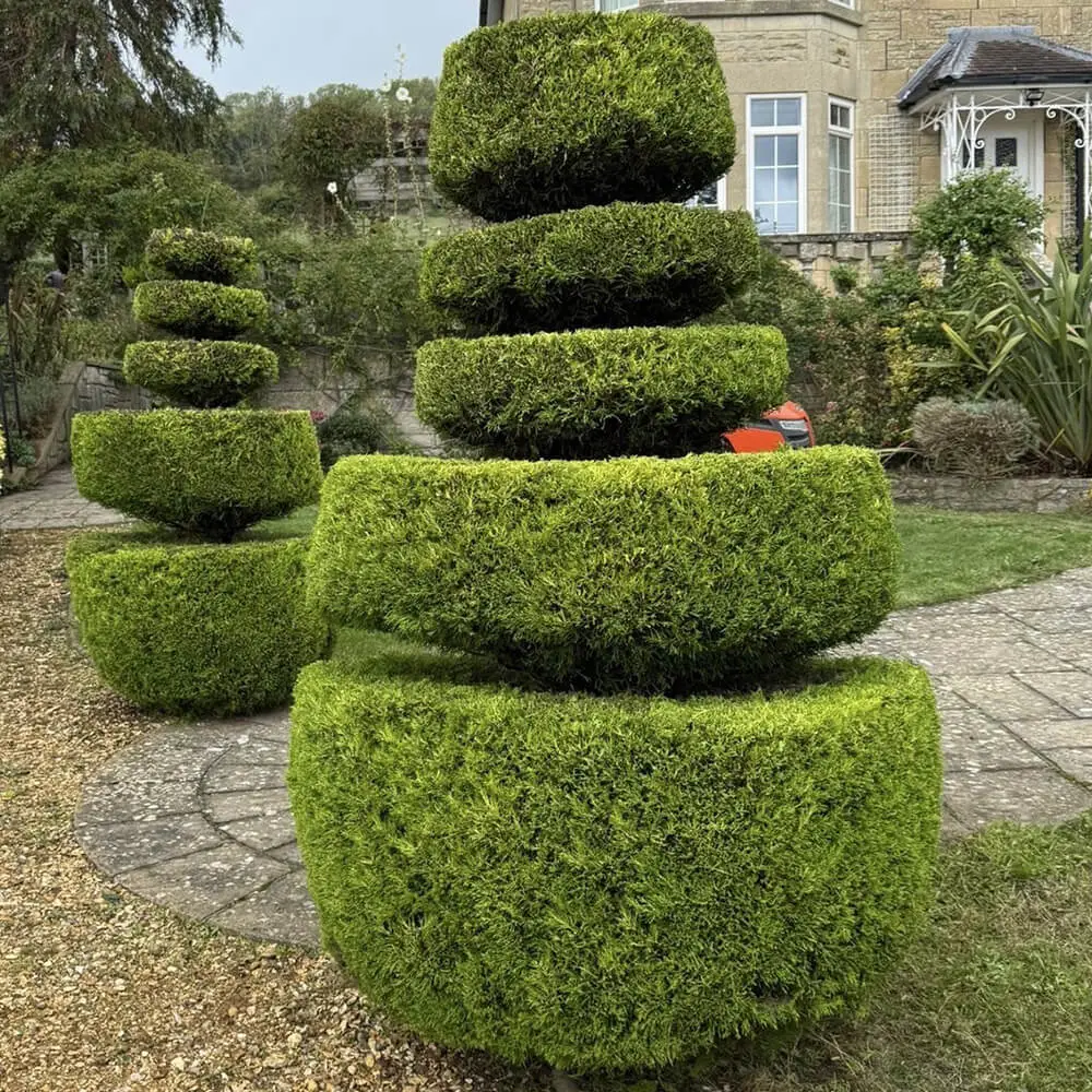 garden-maintenance-fiore-gardens-13