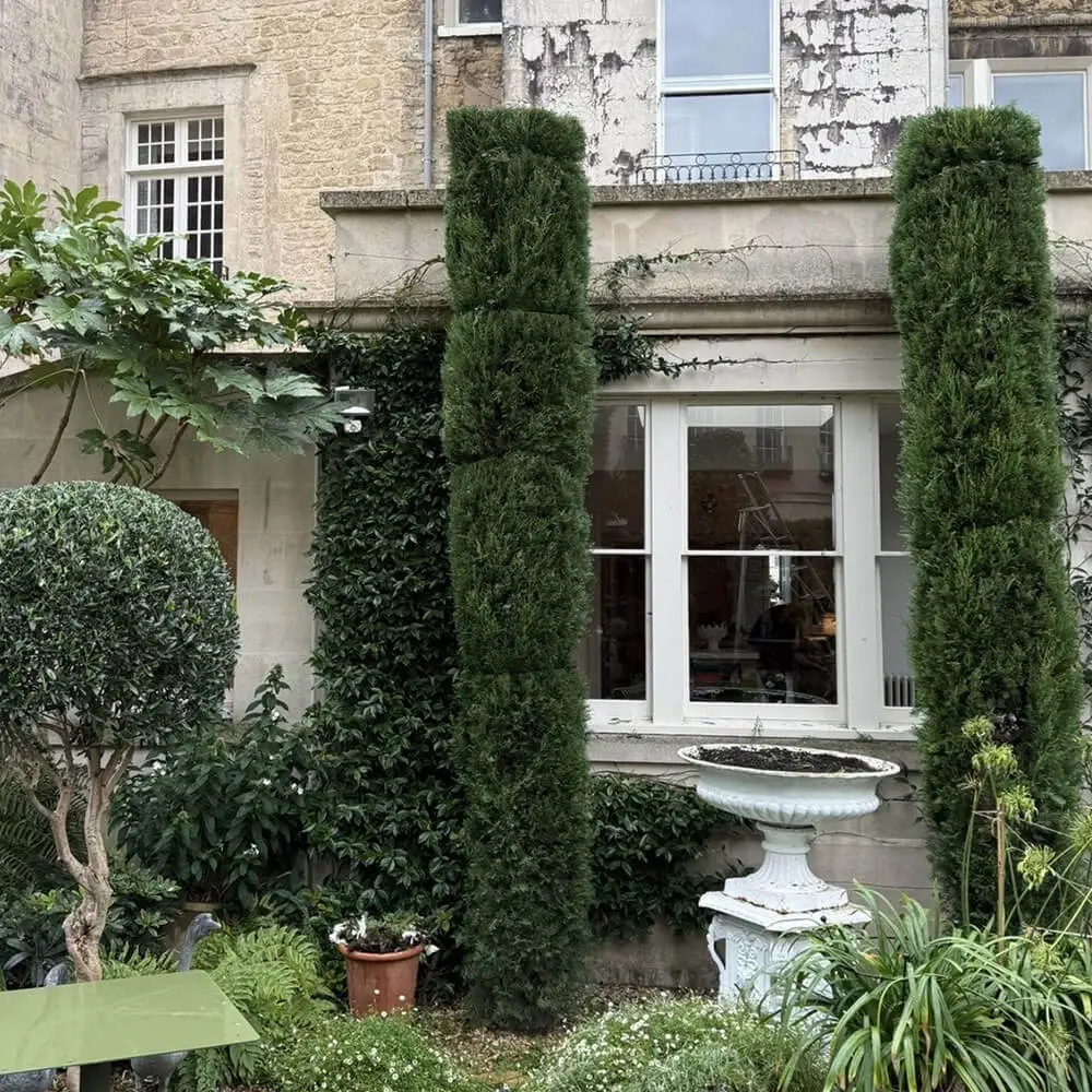 garden-maintenance-fiore-gardens-15